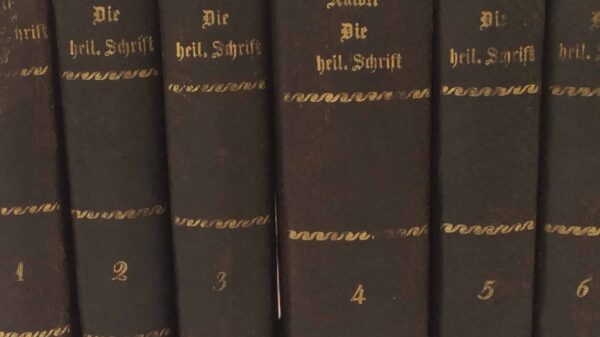 Warum die Autorität des Papstes: Die Heilige Schrift nach der Vulgata übersetzt und kommentiert von Allioli