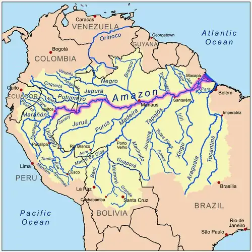 Der Amazonas und sein Einzugsgebiet