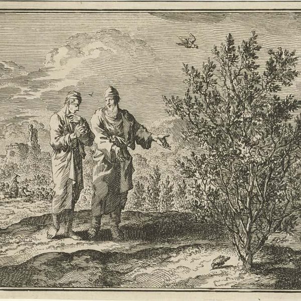 Unterricht für den 6. Sonntag nach Erscheinung: Das Gleichnis vom Senfkörnlein